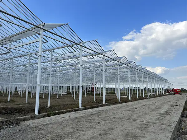 The main reason for the principle of glass greenhouse