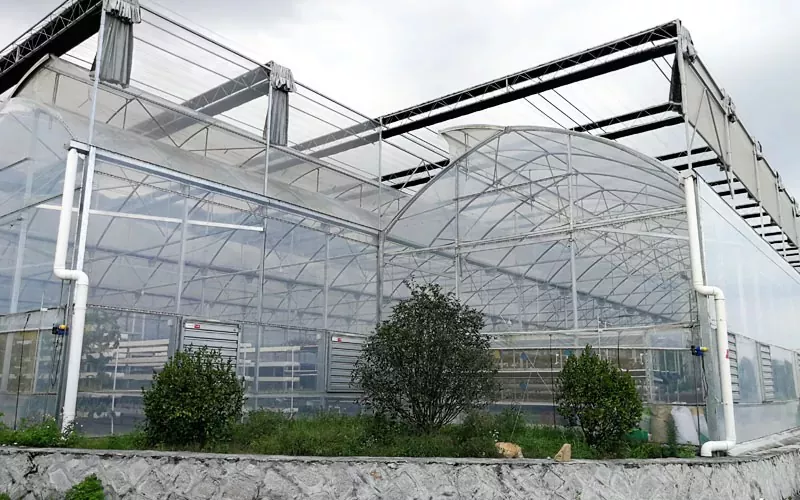 Fixed Roof Window Film Greenhouse