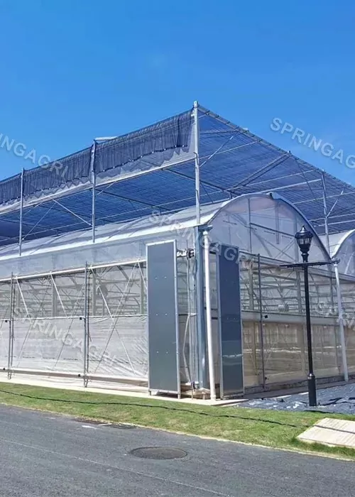 Fruit film greenhouse