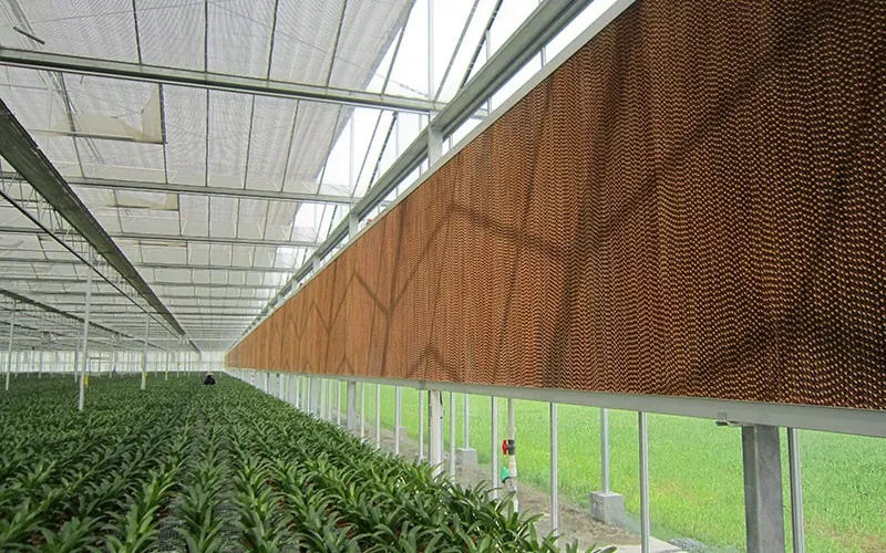 Greenhouse Evaporative Cooling Pad