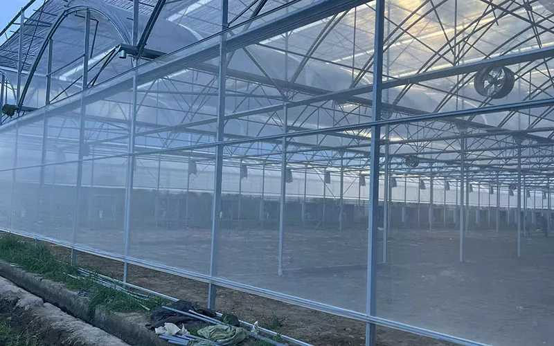 Are There Any Potential Risks Associated with Using Greenhouse Insect Net?