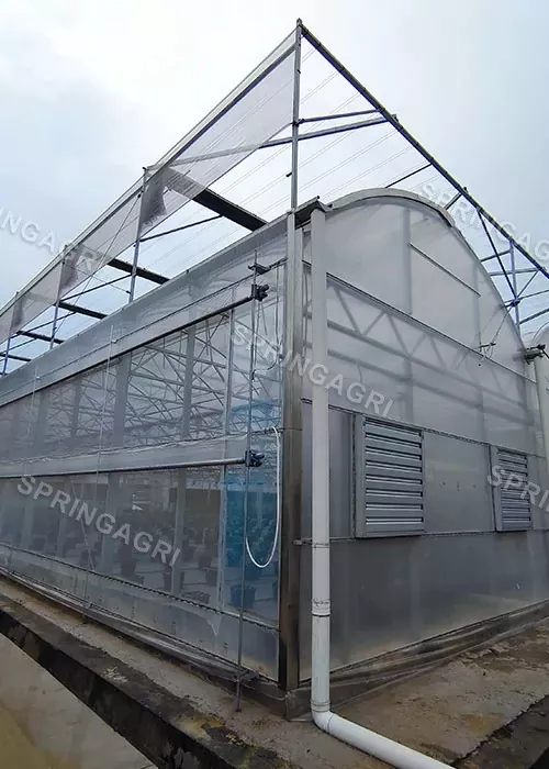 Greenhouses in Spain