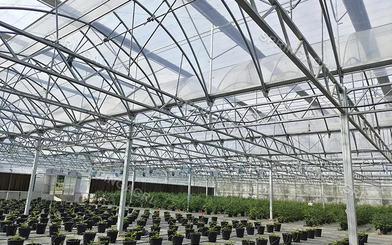 High Light Transmittance Multi Span PO Clear Film Greenhouse