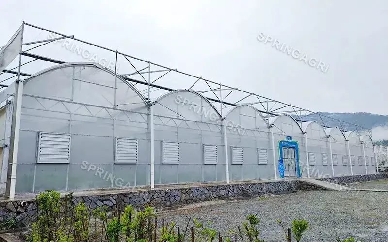 What are the benefits of using a plastic greenhouse cover?