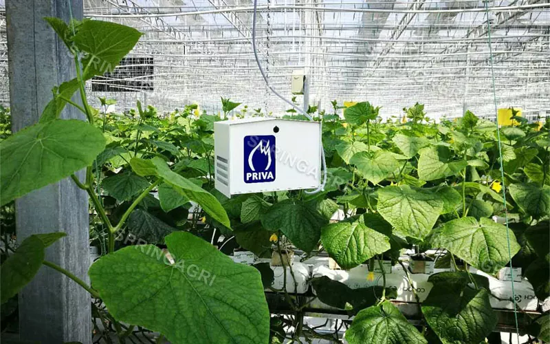 Smart Agriculture Customized Greenhouse Solution