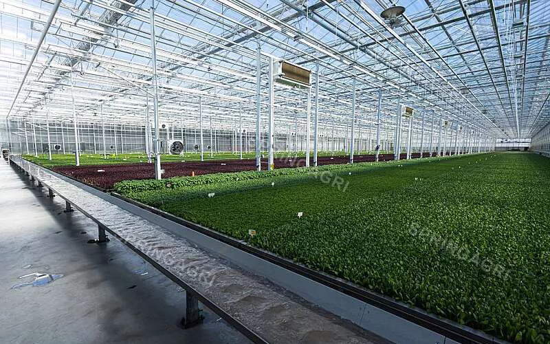 Turnkey Greenhouse