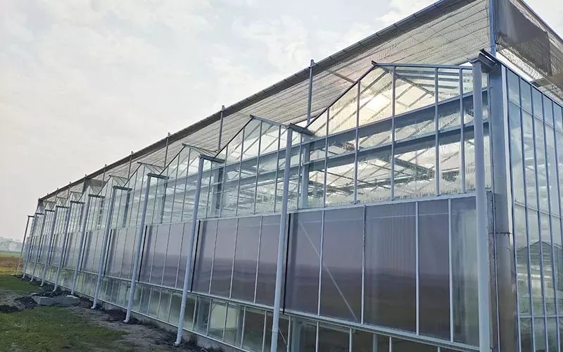 Venlo Polycarbonate PC Sheet Greenhouse